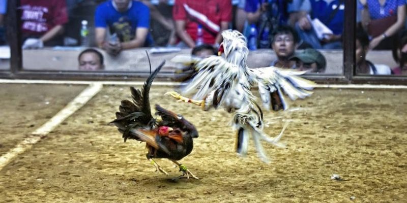đăng nhập nổ hũ hàng đầu