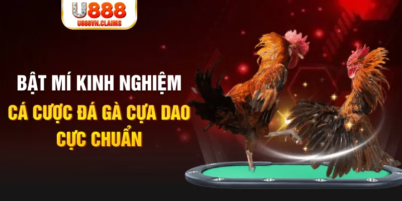 đăng nhập roulette 2024