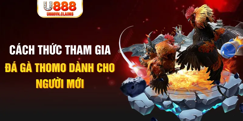 vn88 cá cược thể thao trực tuyến kto
