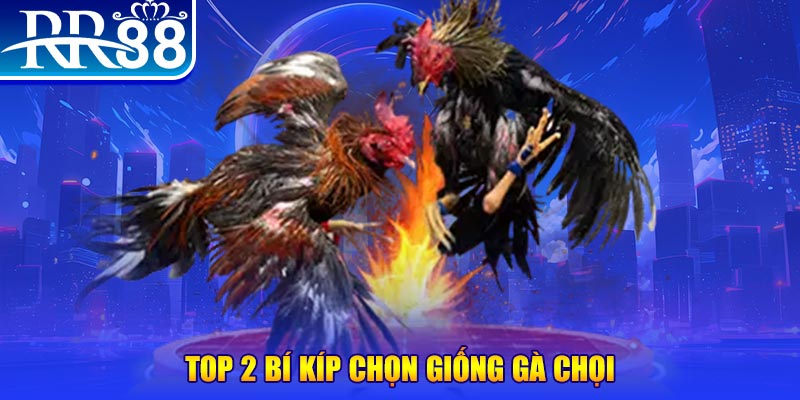 xổ số kiến thiết miền trung hôm nay