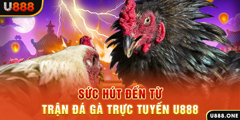slot tiếng anh la gì