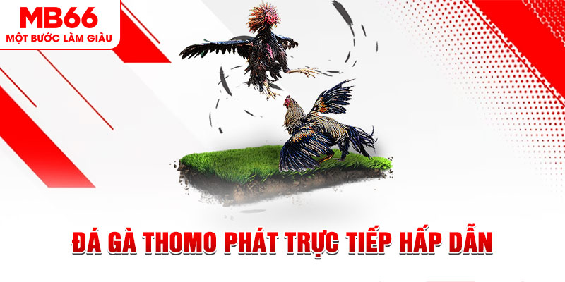 vn88 xổ số thứ tư