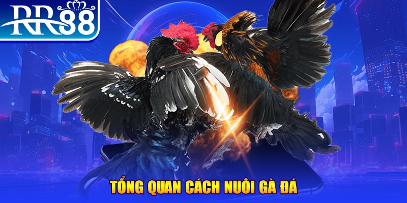 game bắn cá