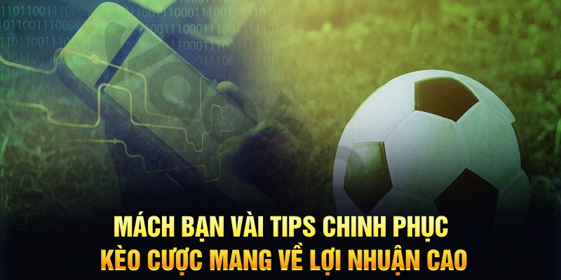 vn88 đăng nhập phỏm hàng đầu