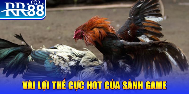 vn88 xổ số quảng nam