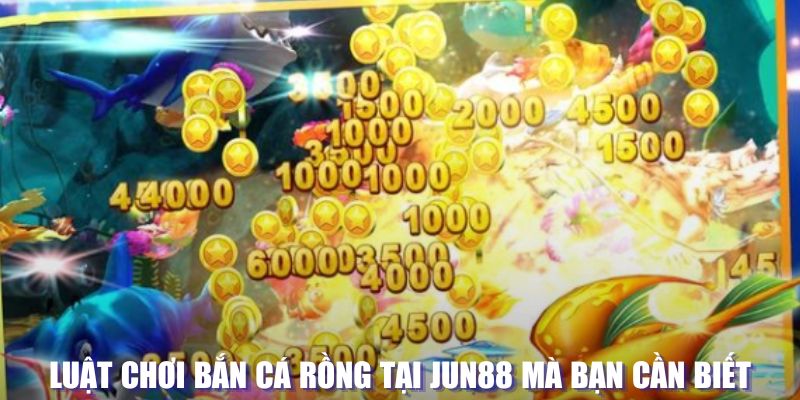 vn88 xổ số đài hà nội