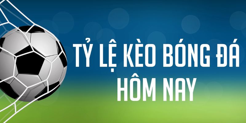 78 vảy gà tốt nên chọi