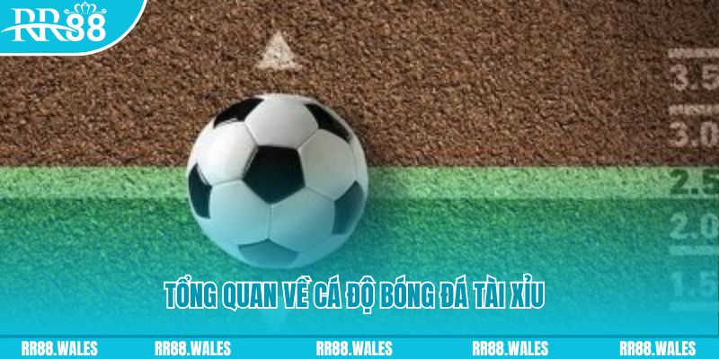 vn88 đăng nhập roulette online