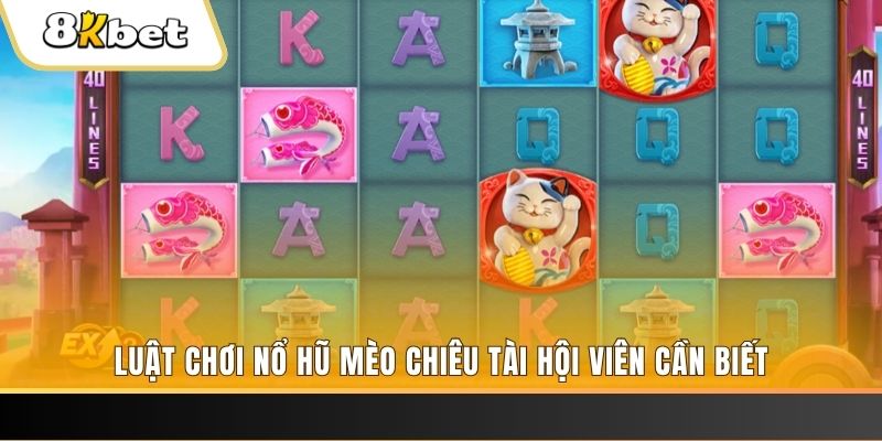 vn88 gà chọi cu cần