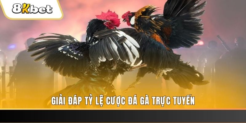 vn88 ban ca online