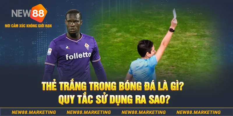 vn88 đăng nhập sòng bạc hôm nay
