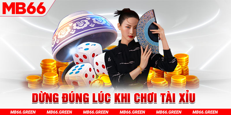 TP Xổ Số