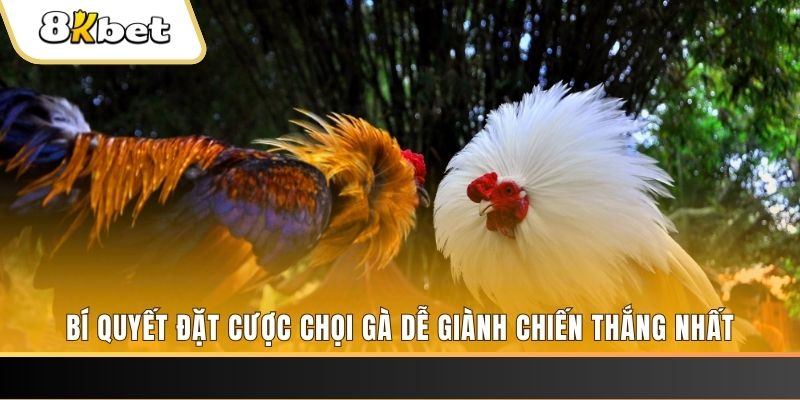 đăng nhập lô đề hàng đầu