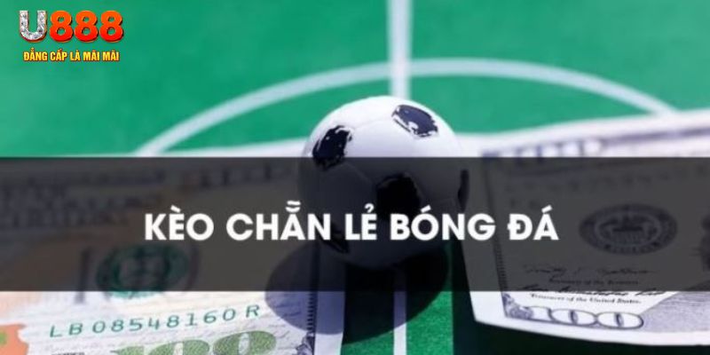 vn88 gà chọi c1.tv