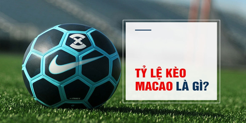 slot là gì